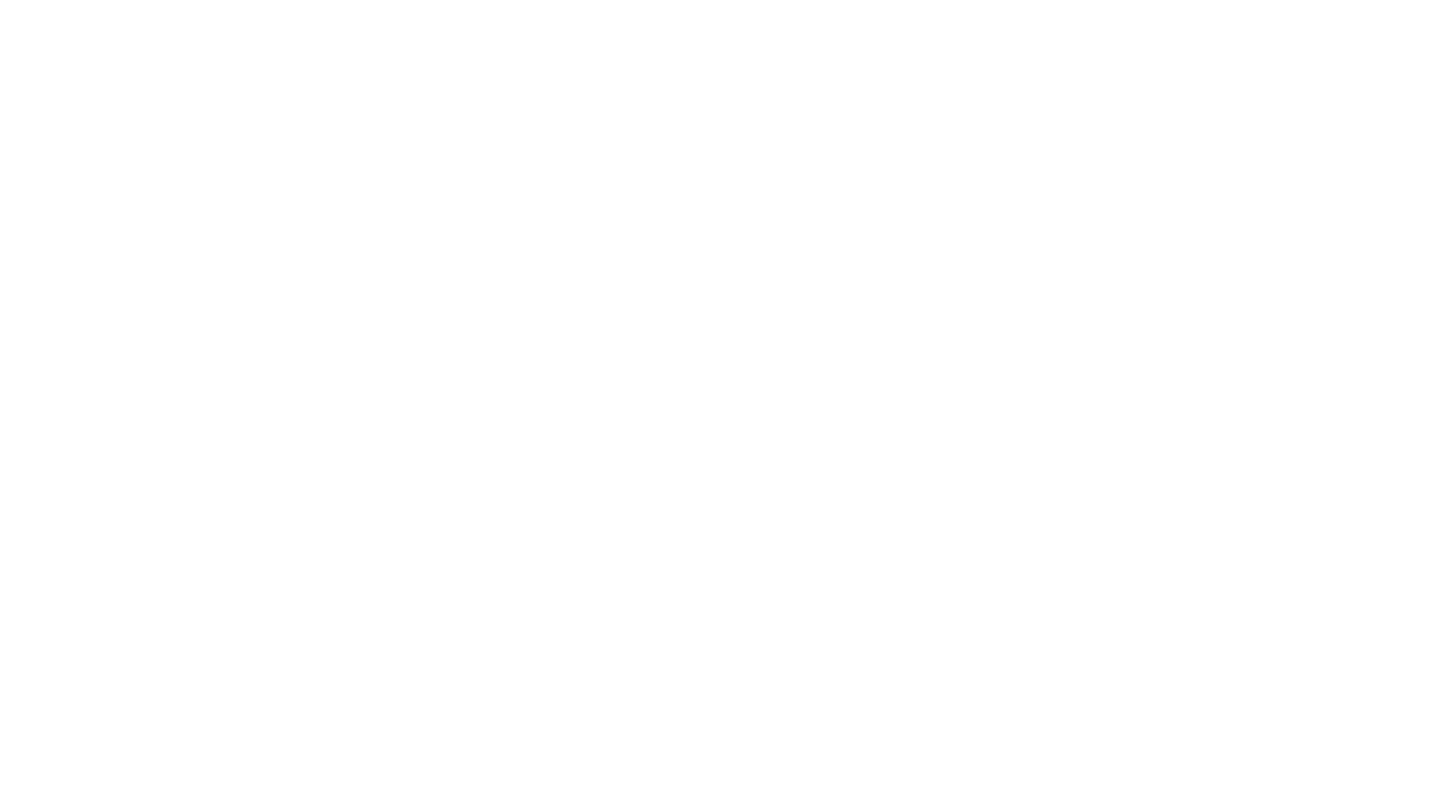 Hanli Photographer logo